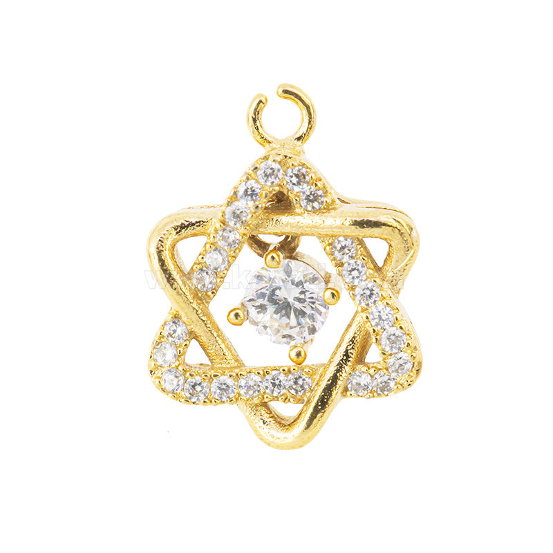 Dije Chapa con Micro Pave Estrella de David 14.5x11mm Dorado