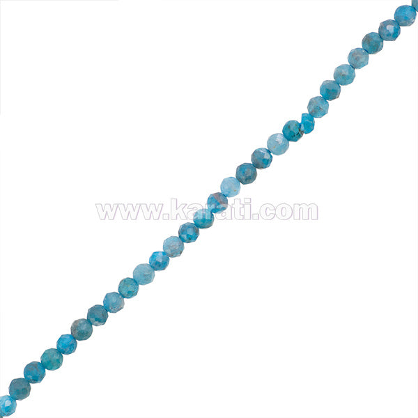 APA002-02B00.jpg