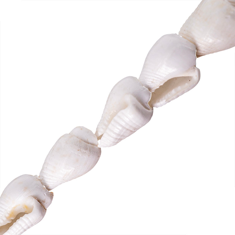 Perla de Concha Natural Mediana 10x7mm Blanco