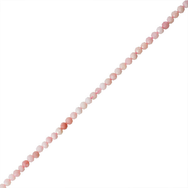OPA002-06A00.jpg