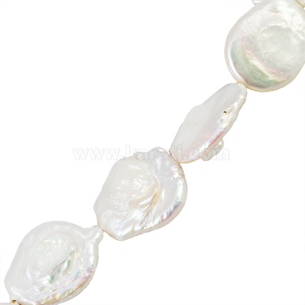 PCU042-22A00.jpg