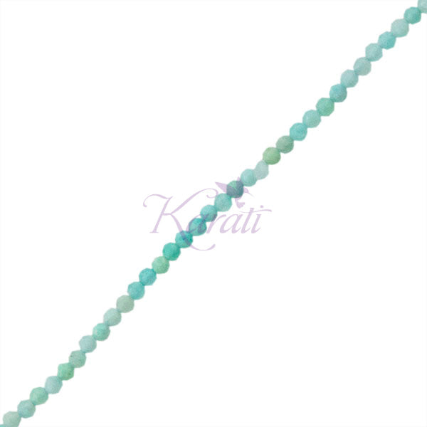 AMZ002-01A00-2.jpg