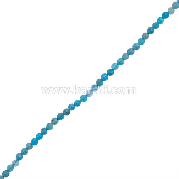 APA002-03B00.jpg
