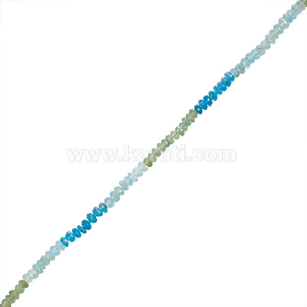 APA002-06A00.jpg