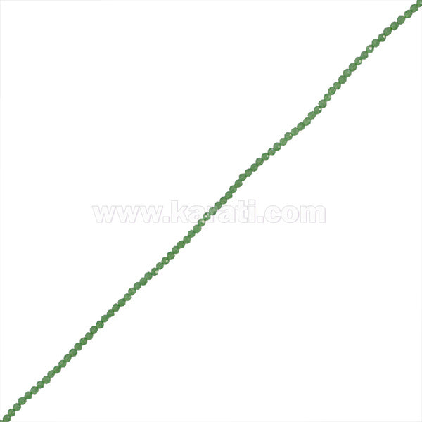 CAL008-01A00.jpg