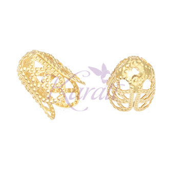CAP029-004D0-2.jpg
