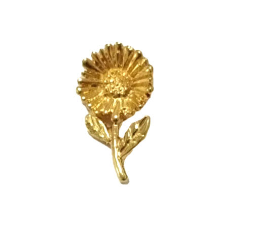 DCH006-101D0.jpg