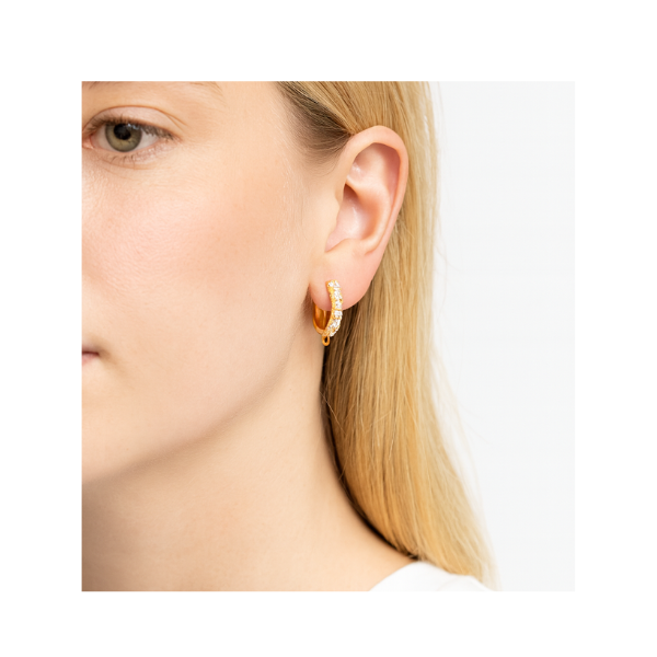 Arracada Redonda c/Circonia 15.4x14.4mm Dorado Brillante