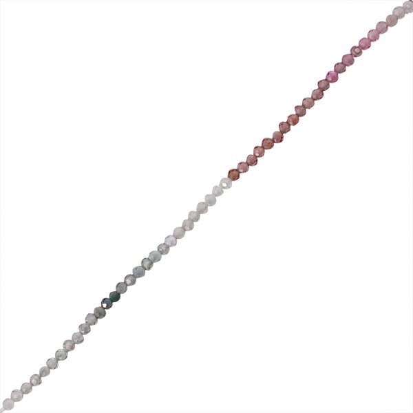 ESP002-02B00.jpg