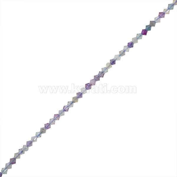 FLU039-01A00.jpg