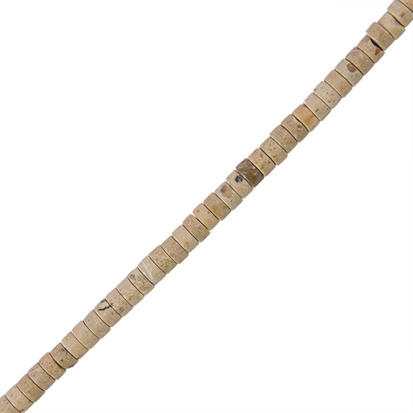JAS013-06A00.jpg