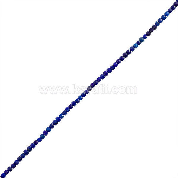 LAP020-01A00.jpg