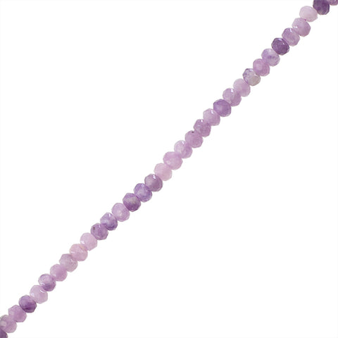 LEP004-01A00.jpg