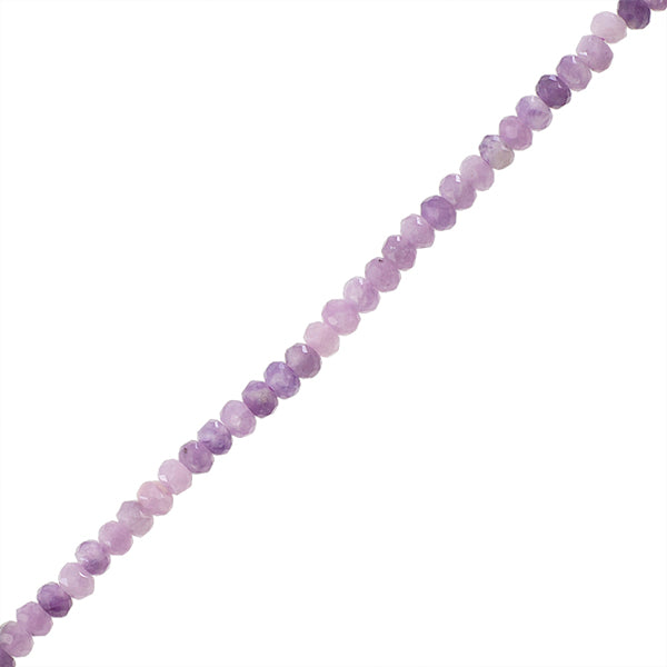 LEP004-01A00.jpg