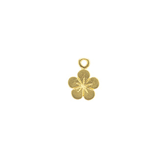 Mini Dije Chapa Naturaleza 10x7mm Dorado Satinado
