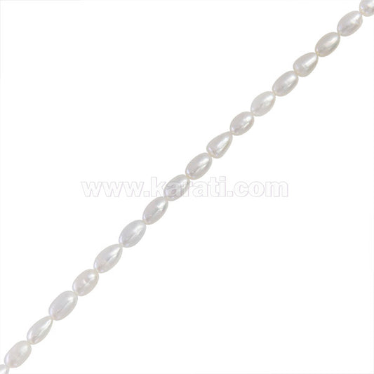 PCU006-08A00.jpg