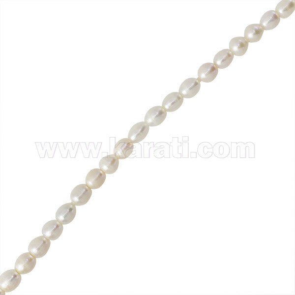 PCU006-09A00.jpg