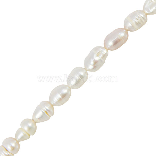 PCU006-12A00.jpg