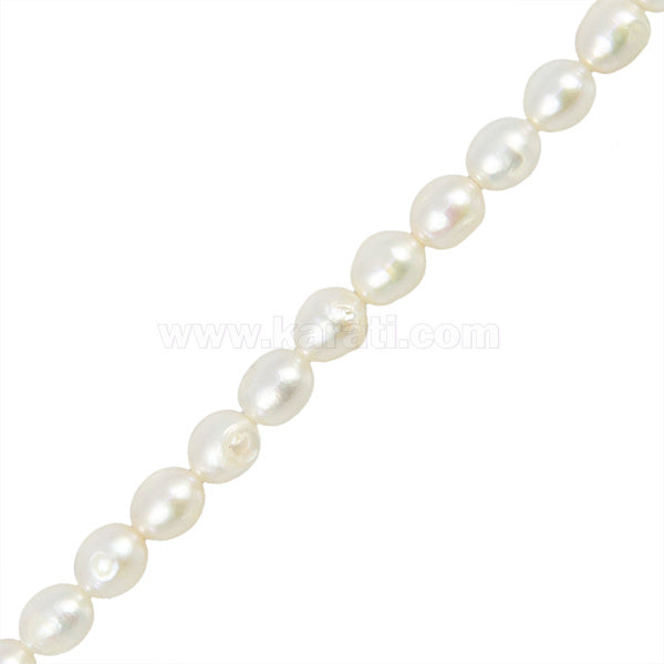 PCU006-13A00.jpg