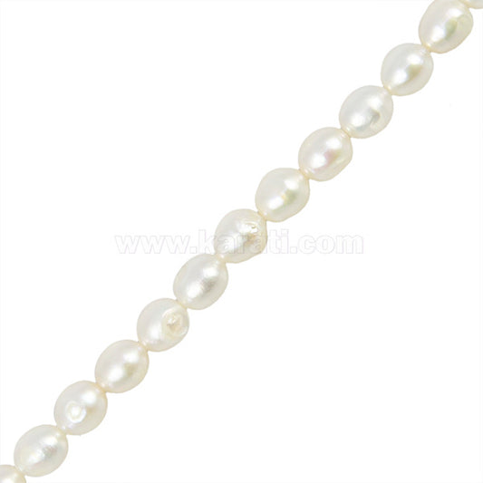 PCU006-13A00.jpg