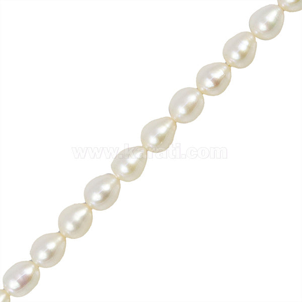PCU007-13A00.jpg