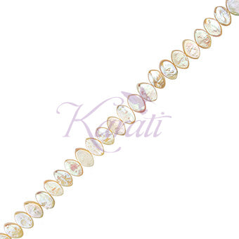 PCU009-06C00-2.jpg