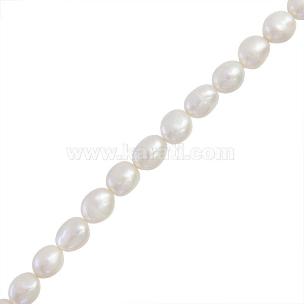 PCU025-12A02.jpg