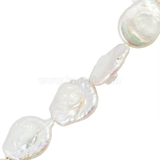 PCU042-22A00.jpg