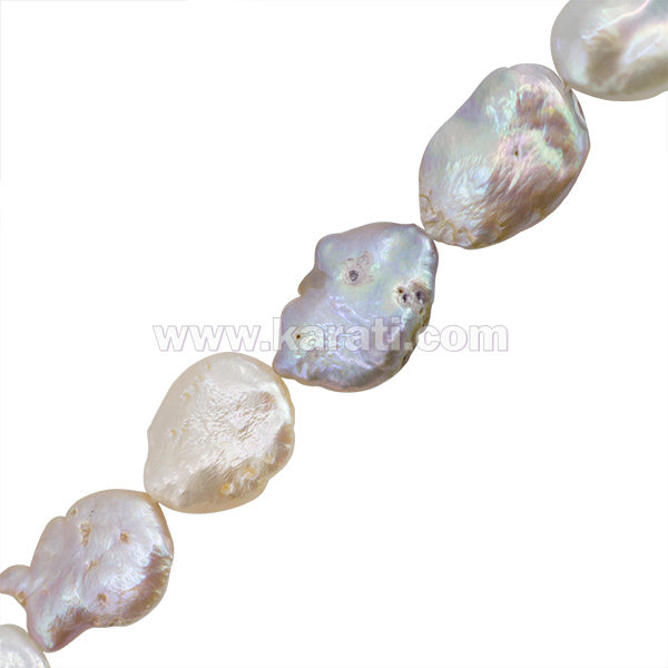 PCU051-08A01.jpg