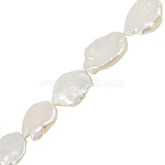 PCU051-19A00.jpg