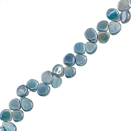 PLU007-02A00.jpg