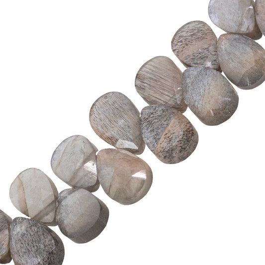 Piedra Luna Gota Facetada Silverite 6x4mm Cafe