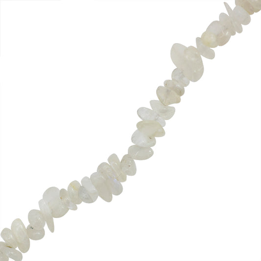 PLU026-01A00.jpg