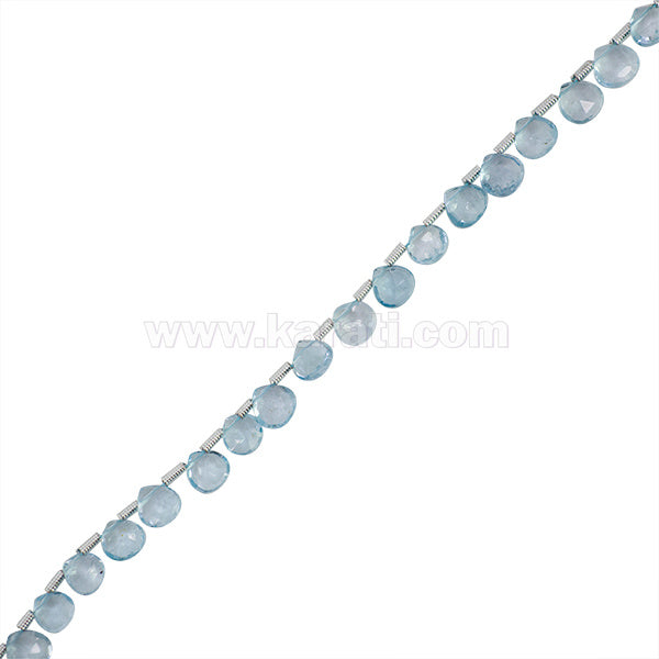 TOP008-01A00.jpg