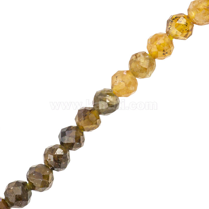 TUR002-01C00.jpg