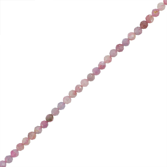 TUR002-02B00.jpg